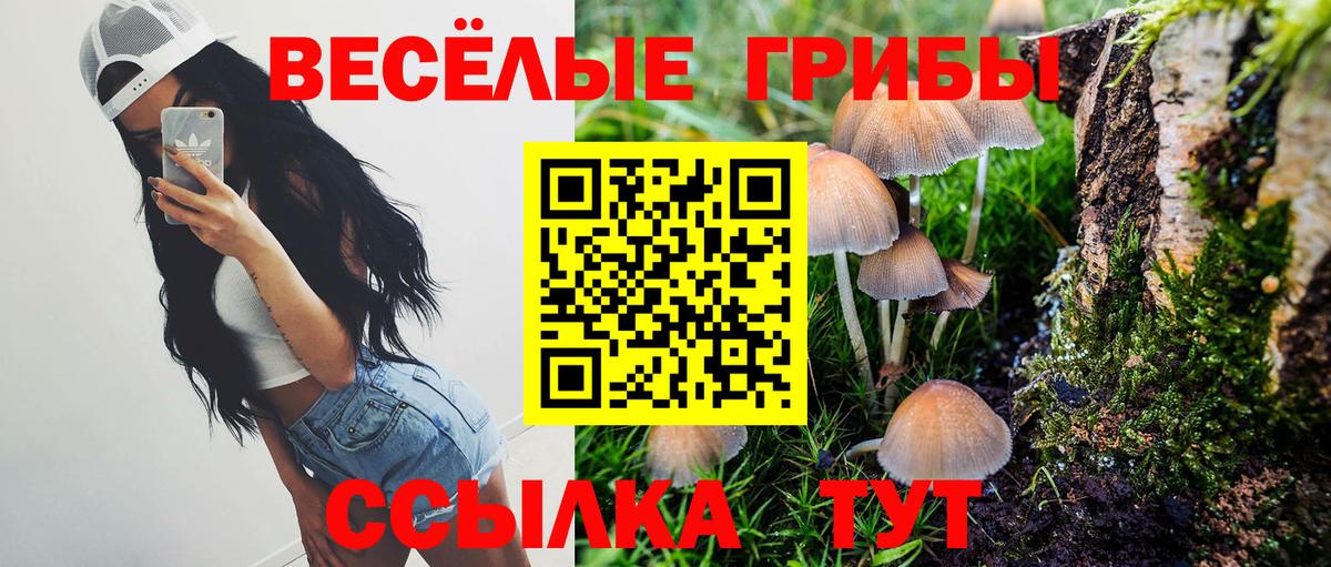 Псилоцибиновые грибы Cubensis Славянск-на-Кубани