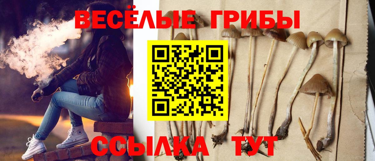 где продают наркотики  Псилоцибиновые грибы MAGIC MUSHROOMS  Вход с VPN  Славянск-на-Кубани 
